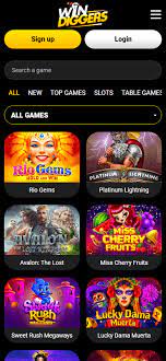 Online Online Casino Experience at Win Diggers Gambling Enterprise